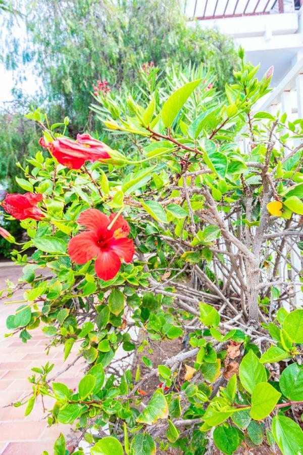 Vivienda Vacacional Sunny - Duplex Apartment 2Beds 2 Baths Costa Teguise Exterior photo